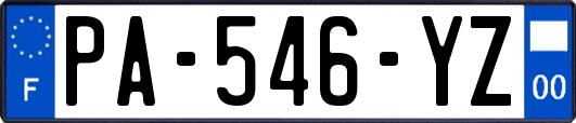 PA-546-YZ
