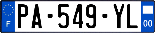 PA-549-YL