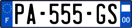 PA-555-GS