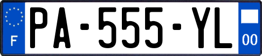 PA-555-YL