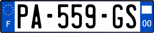 PA-559-GS