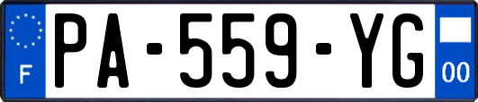 PA-559-YG