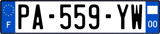 PA-559-YW