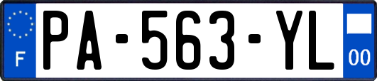 PA-563-YL