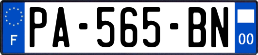 PA-565-BN