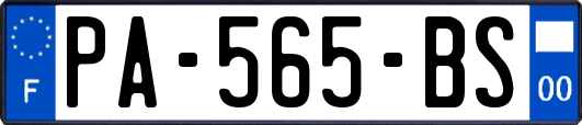 PA-565-BS
