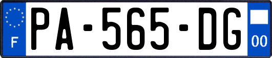 PA-565-DG
