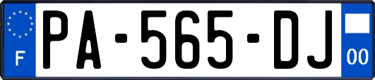 PA-565-DJ