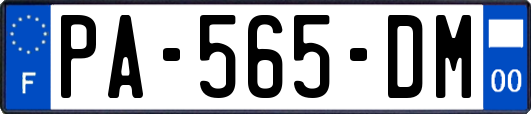 PA-565-DM