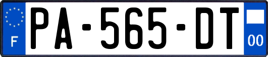 PA-565-DT