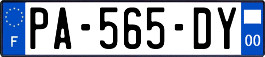 PA-565-DY