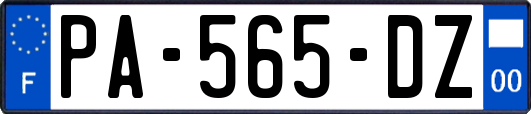 PA-565-DZ