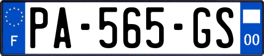 PA-565-GS