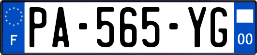 PA-565-YG