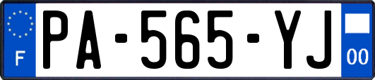 PA-565-YJ