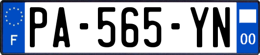 PA-565-YN