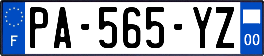 PA-565-YZ