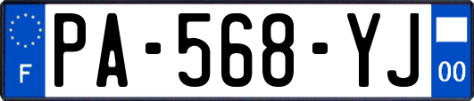 PA-568-YJ