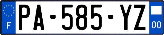 PA-585-YZ