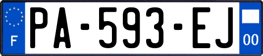 PA-593-EJ