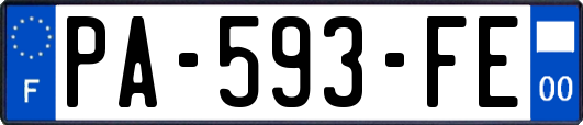 PA-593-FE