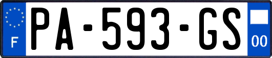 PA-593-GS