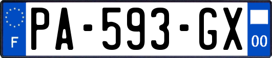 PA-593-GX