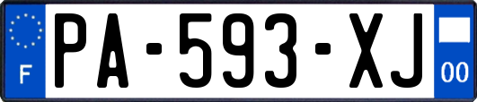 PA-593-XJ
