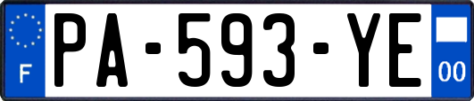PA-593-YE