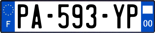 PA-593-YP