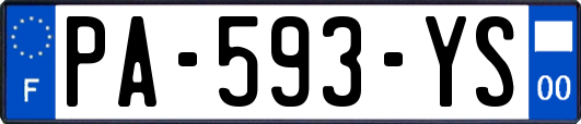 PA-593-YS