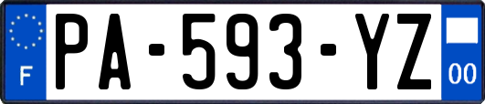 PA-593-YZ