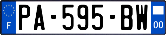 PA-595-BW