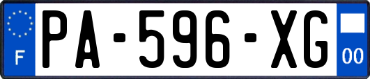 PA-596-XG