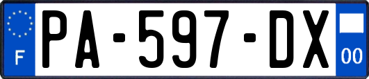 PA-597-DX