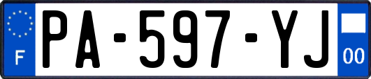 PA-597-YJ