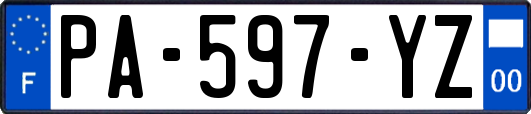 PA-597-YZ