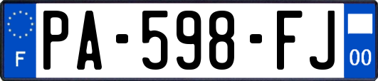 PA-598-FJ