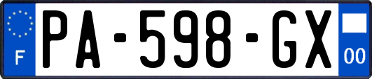 PA-598-GX