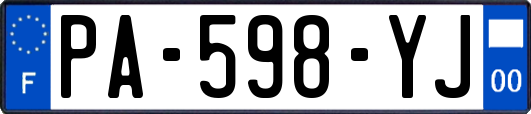 PA-598-YJ