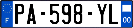PA-598-YL