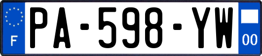 PA-598-YW