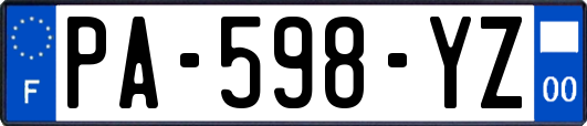 PA-598-YZ