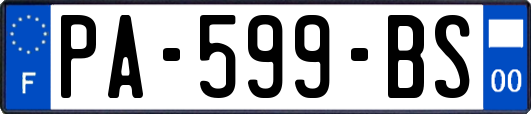 PA-599-BS