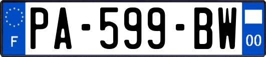 PA-599-BW