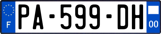 PA-599-DH