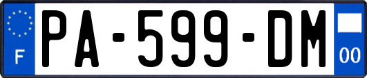 PA-599-DM
