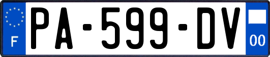 PA-599-DV