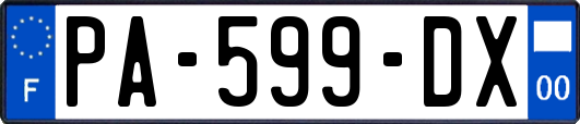 PA-599-DX