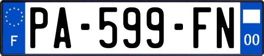 PA-599-FN